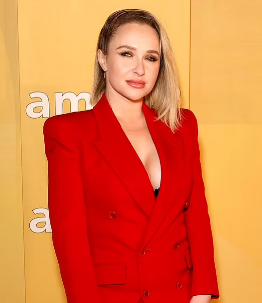 Troubled star Hayden Panettiere sends fans in frenzy as she debuts 'wild' transformation