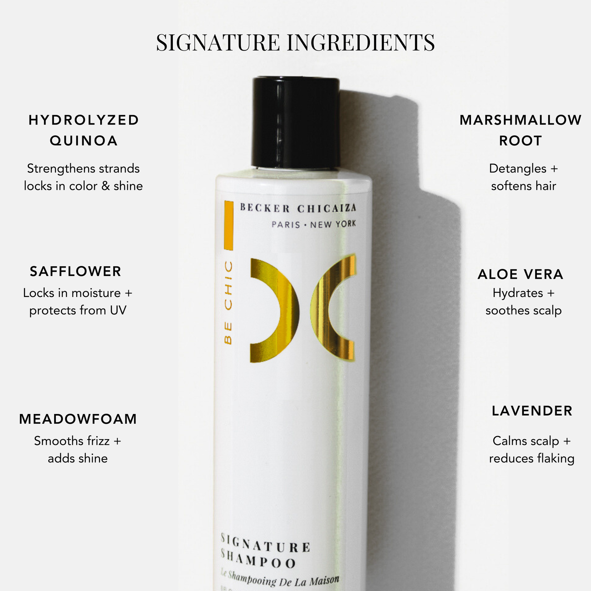 Signature Shampoo – Becker Chicaiza Signature Shampoo – Becker Chicaiza